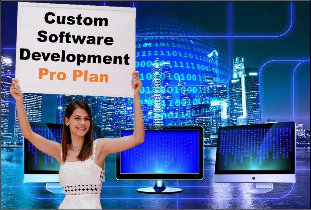 custom software development agency in Lansing Michigan
