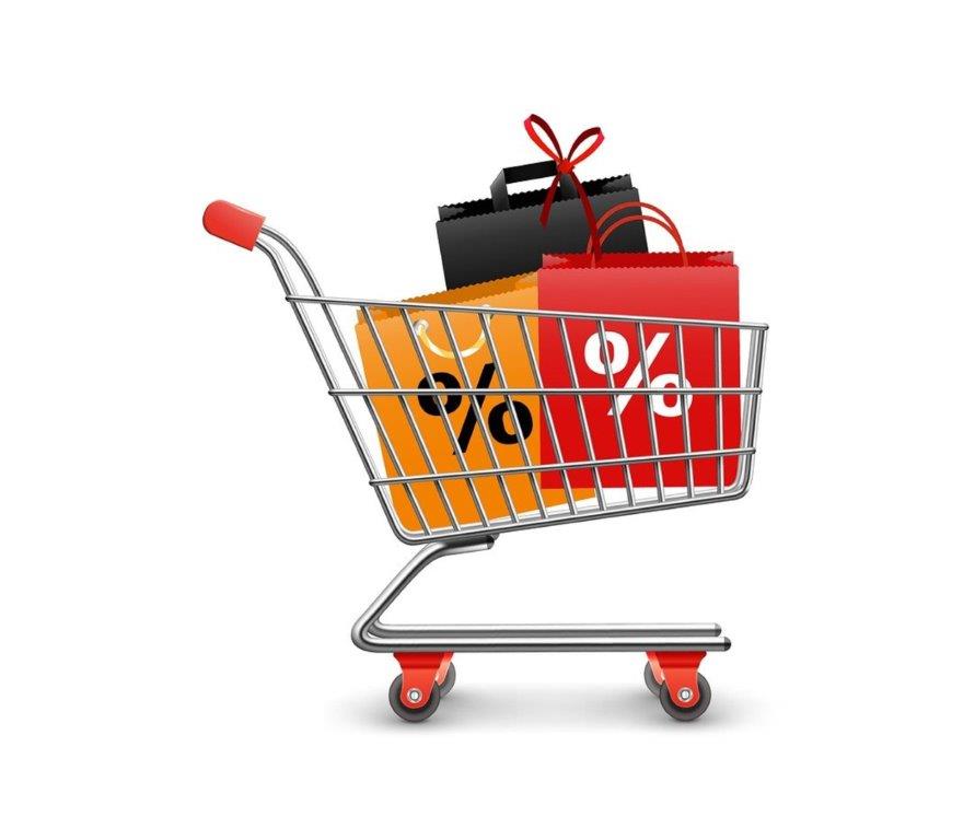 expert ecommerce website development agency in Lansing Michigan