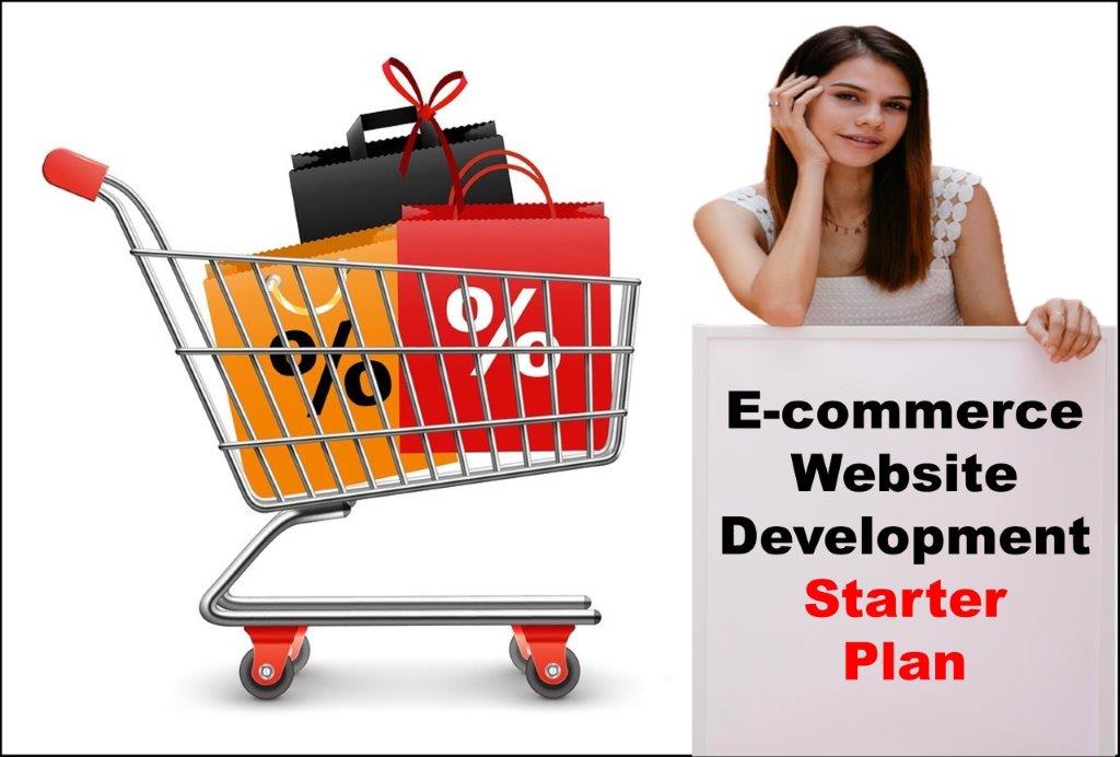 E-Commerce Website Development in Lansing Michigan