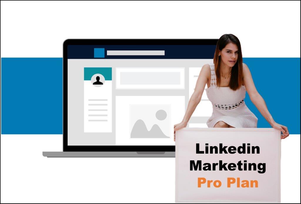 linkedin marketing agency in Lansing Michigan