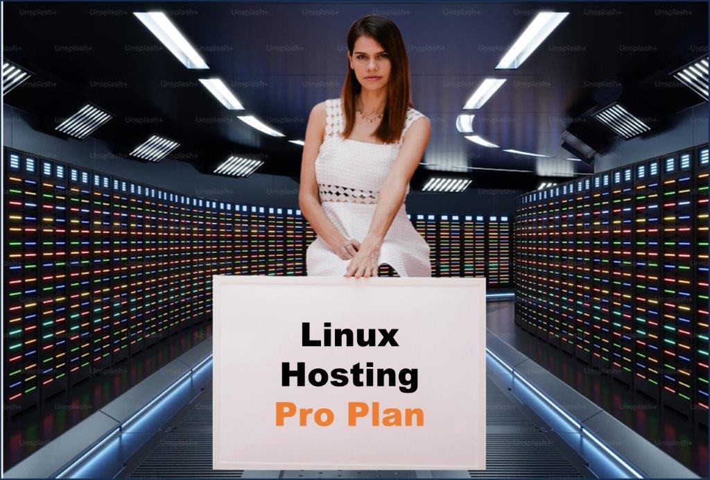 linux hosting windows hosting provider in Lansing Michigan