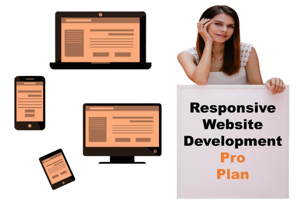 expert responsive website development agency in Lansing Michigan