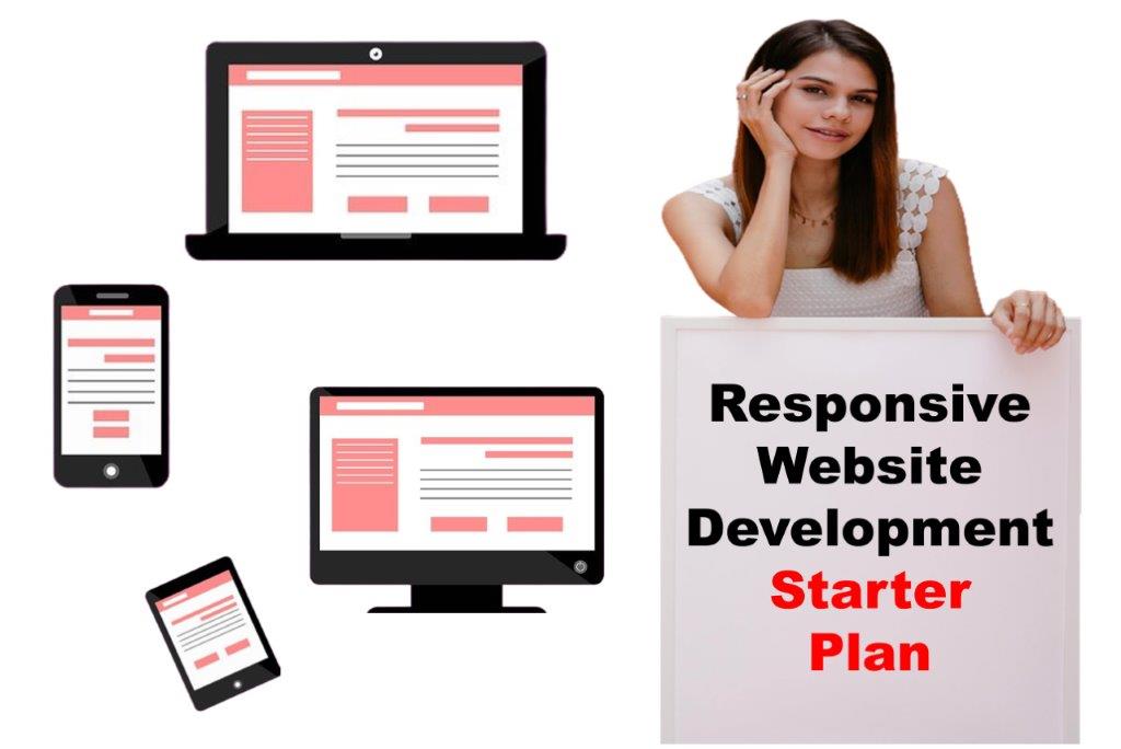 Responsive Website in Lansing Michigan