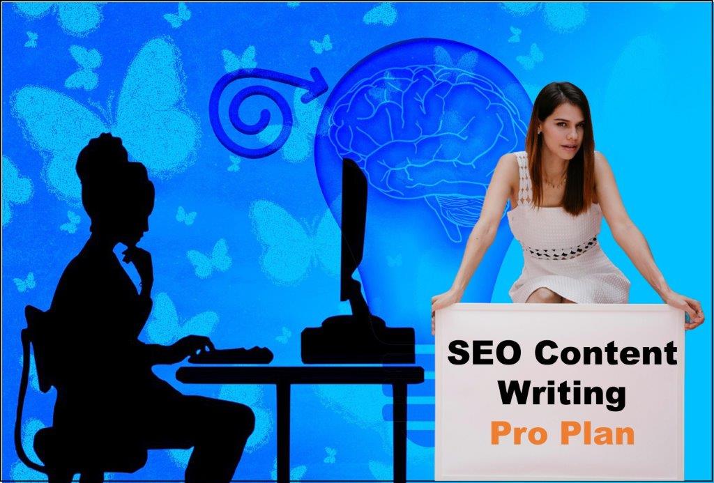 seo content writing agency Lansing Michigan