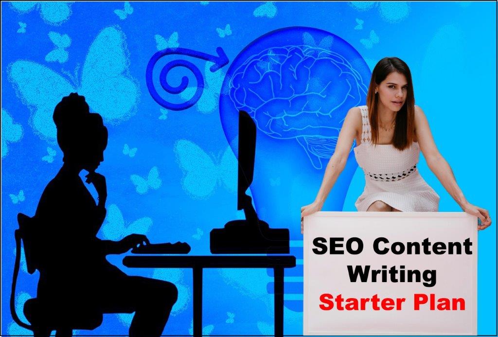 seo content writing service provider in Lansing Michigan