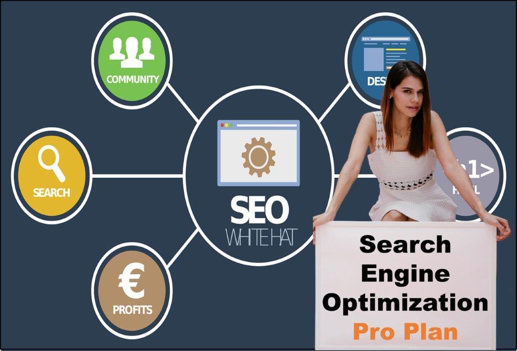 seo company Lansing Michigan