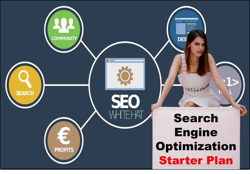 seo service provider in Lansing Michigan