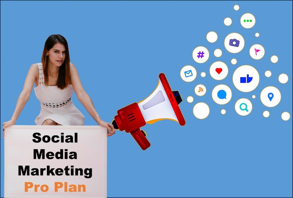 social media marketing company in Lansing Michigan