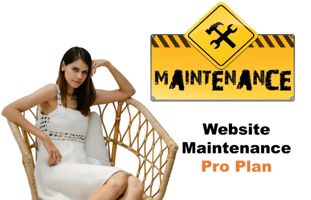 website maintenance agency in Lansing Michigan