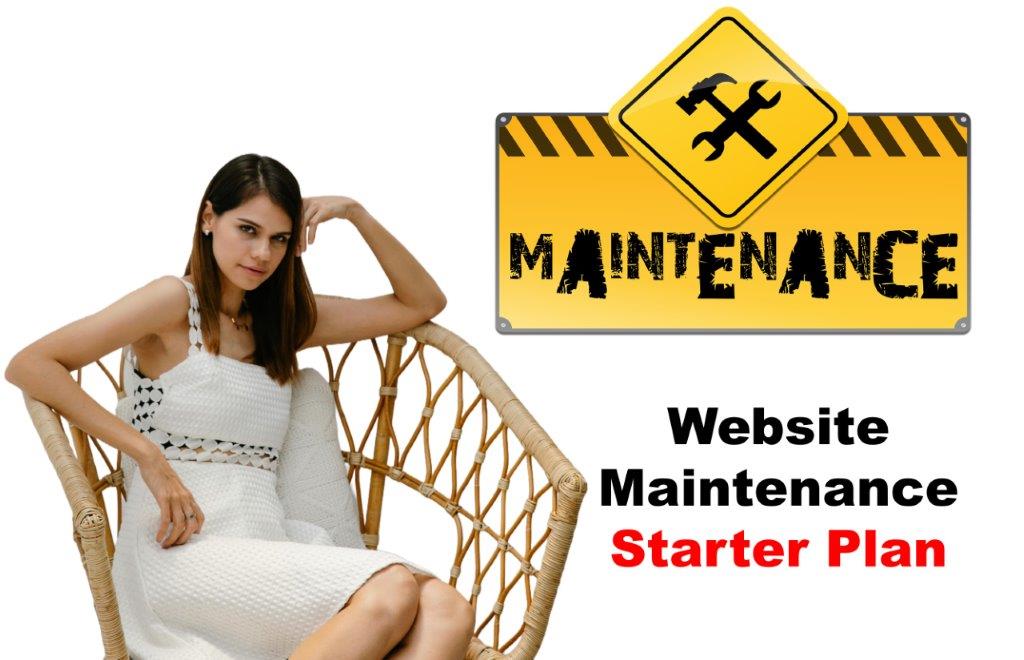 Website Maintenance in Lansing Michigan