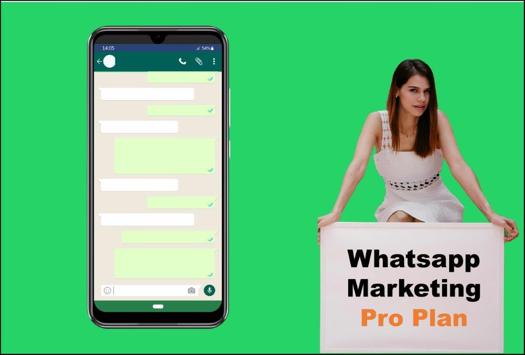 whatsapp marketing agency in Lansing Michigan