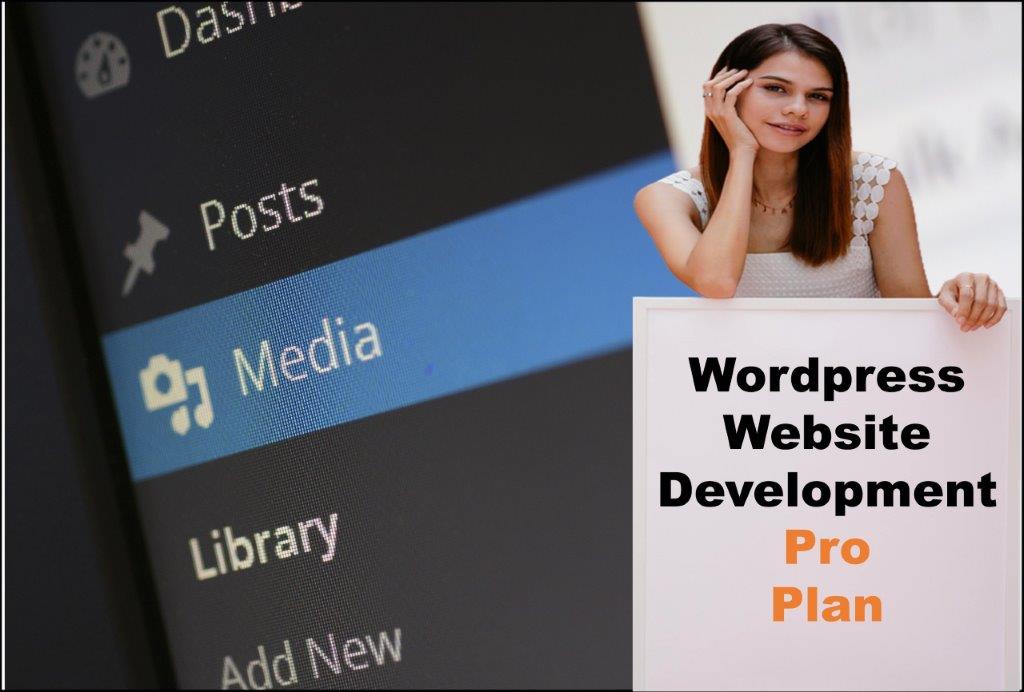wordpress website designing in Lansing Michigan
