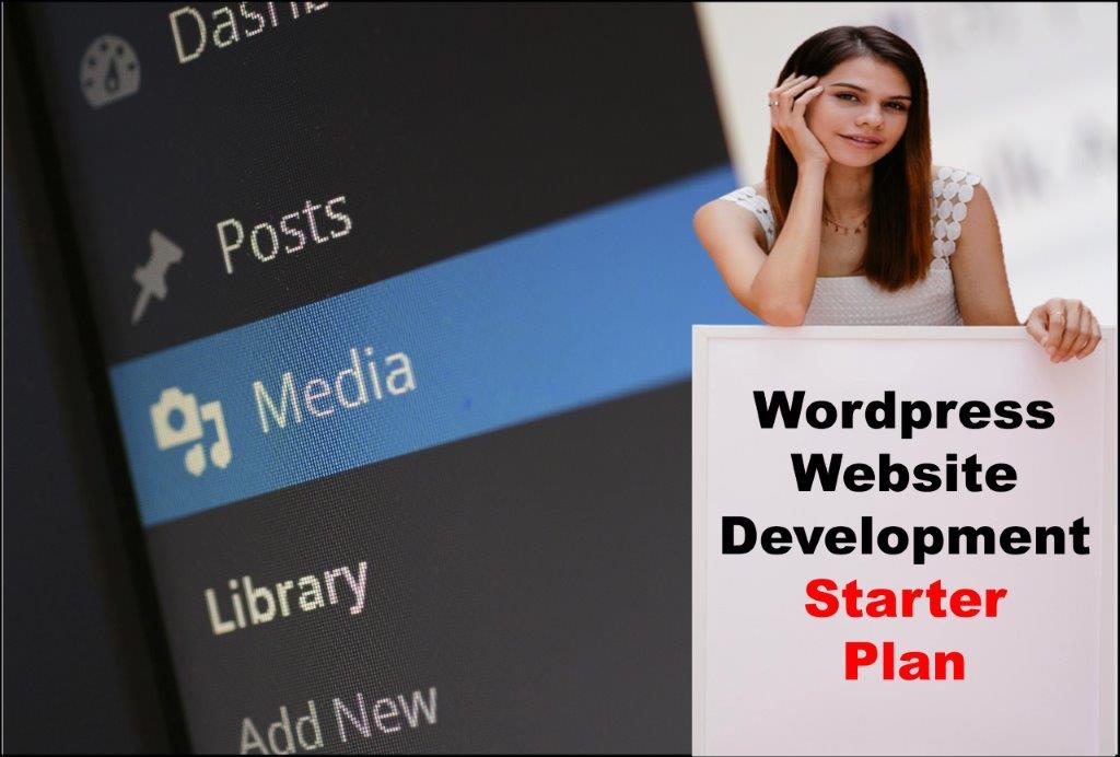 wordpress website development agency in Lansing Michigan